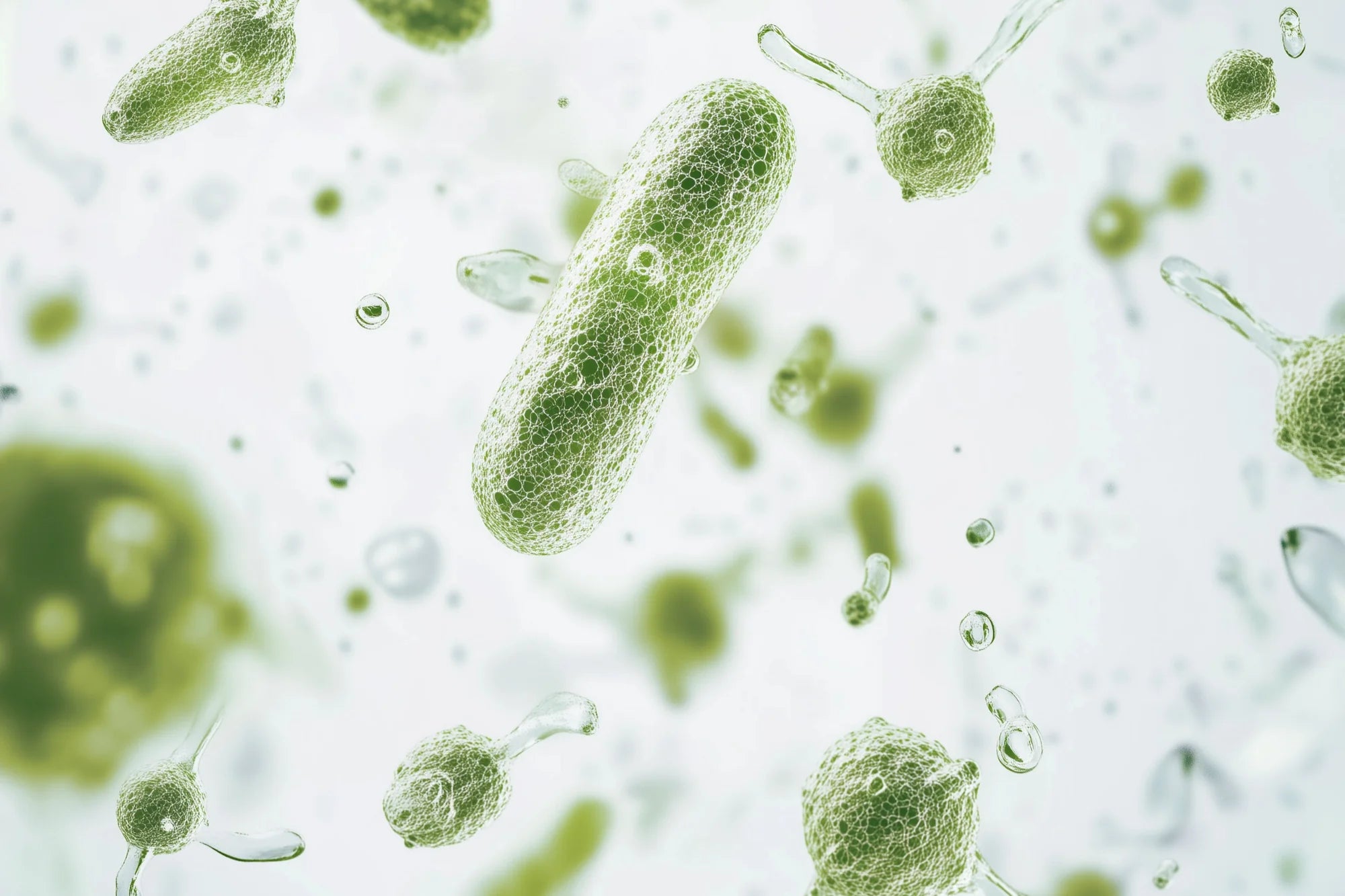 Antibacterial vs Antimicrobial: What’s The Difference?